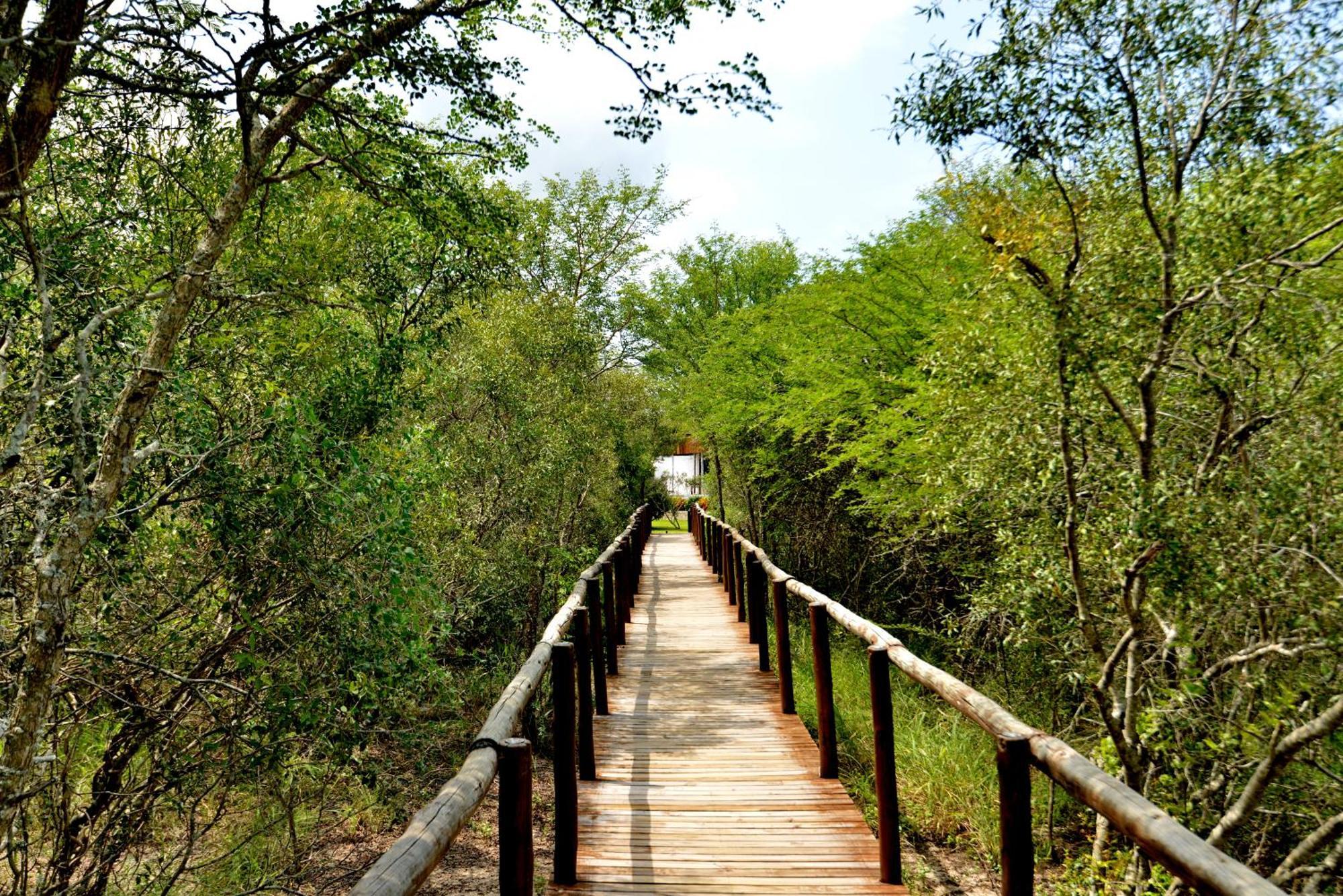 Kruger Safari Lodge Manyeleti Game Reserve Bagian luar foto