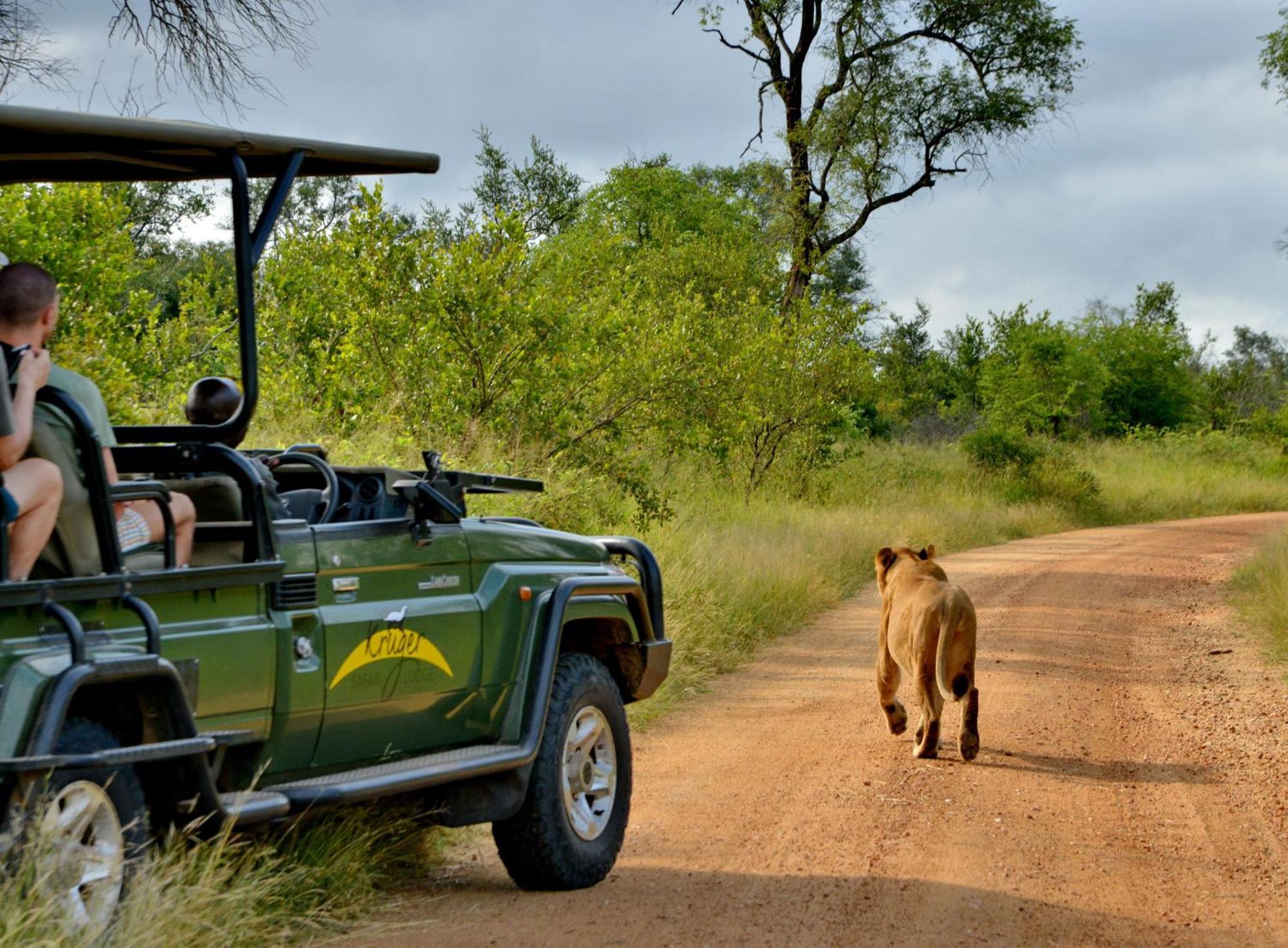 Kruger Safari Lodge Manyeleti Game Reserve Bagian luar foto